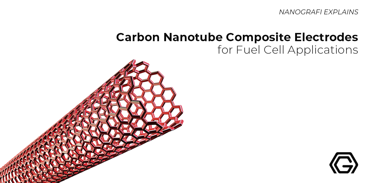 Carbon Nanotube Composite Electrodes for Fuel Cell Applications