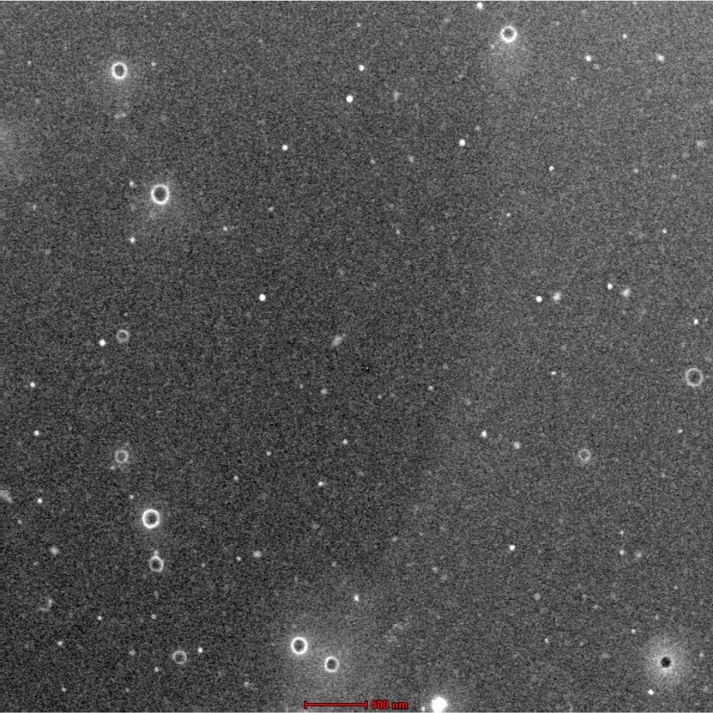 green-qd-tem2.jpg