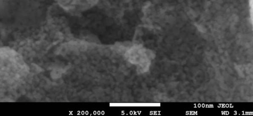 image001.png