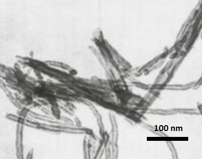 sem-cooh-functionalized-short-single-walled-carbon-nano-tubes-purity-65-.png