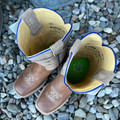 Tin Haul Big Boy's Razor Sharp Barbed Wire Square Toe Boot 14-119-0102-5083 BR