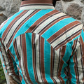 Rock & Roll Men's Teal & Brown Stripe Long Sleeve Snap Shirt BMN2S08652