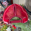 Catchfly Maroon Serape Ponytail Hat 23204HB10