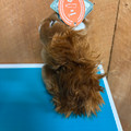 Living Nature Squirrel Stuffed Animal
