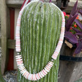 22" Graduated Pink Conch Heishi Necklace WHC-1