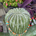 16" Orange Spiny Oyster & Turquoise Chips Sterling Silver Pearl Necklace 139Z-16