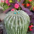 Turquoise Nomad Gold Fill Square Stud Earrings KT24E150-GF