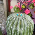 Turquoise Nomad Gold Fill Square Stud Earrings KT24E150-GF
