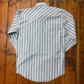 Panhandle Men's Blue Dobby Stripe Long Sleeve Snap Shirt RMN2S09534