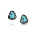 Montana Silversmiths Dakota Skies Post Earrings