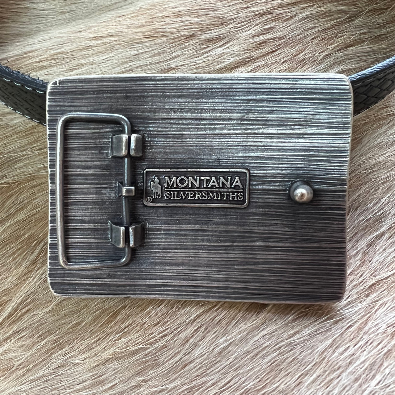 E.U.『Buck Wild』 PromoCDs Montana Silversmiths Lonestar Longhorn Attitude Belt Buckle