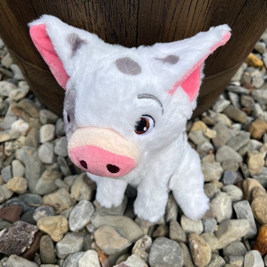 Spotted Pig Stuffed Animal AN1230