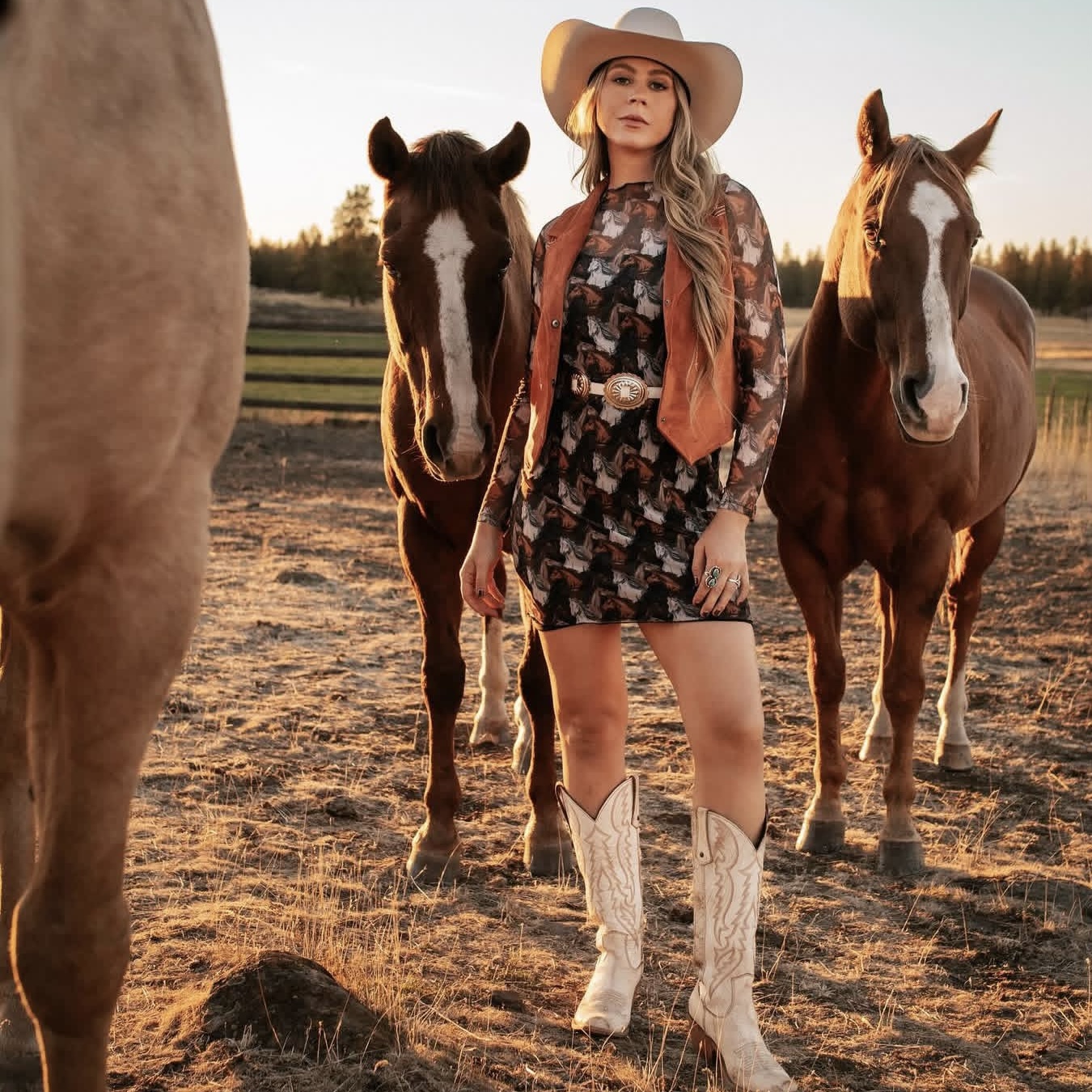 horse dress Rock & Roll Ladies Black Print Mesh BWD2R07474 and Shea Baby Boots color:nude/ivory/silver/gold Quinceanera cool belts men Westwood Hanley Double Dresser