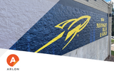 DPF V9500 - 2 mil Cast Gloss Wall Film Non-PVC