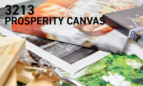 3213 Prosperity - 17 mil Matte Canvas