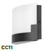 Telbix Solita 20 12w Frost Glass CCT LED Wall Light Black