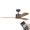 Eglo Iluka DC Motor 132cm Black/Rustic & Remote Ceiling Fan
