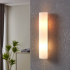 Eglo Zola Frost Glass 2lt Slim Wall Light