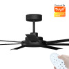 Calibo Alula Smart DC Ceiling Fan 152cm Black With Black & Remote