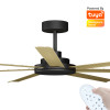 Calibo Alula Smart DC Ceiling Fan 203cm Black With Bamboo & Remote