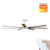 Calibo Alula Smart DC Ceiling Fan 203cm White With Koa & Remote