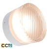 Calibo Gull 5w CCT LED White & Ribbed Acrylic Exterior Wall Light