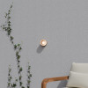 Calibo Gull 5w CCT LED Brass & Frosted Acrylic Exterior Wall Light