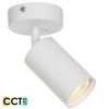 Telbix Picard 1lt CCT GU10 LED Spotlight White