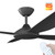 Calibo Vanga Smart DC Ceiling Fan 132cm Black With Black & Remote Calibo Vanga Smart DC Ceiling Fan 132cm Black With Black & Remote