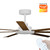 Calibo Alula Smart DC Ceiling Fan 203cm White With Koa & Remote