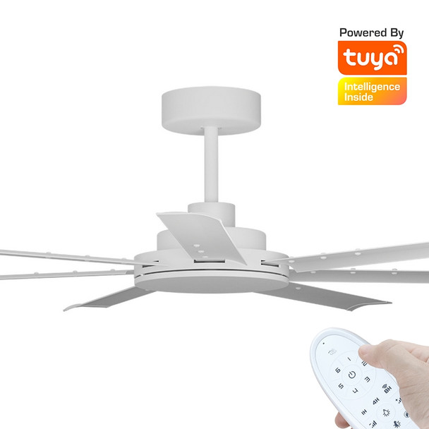 Calibo Alula Smart DC Ceiling Fan 152cm White With White & Remote
