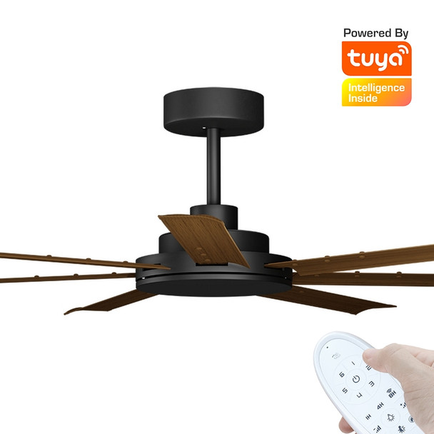 Calibo Alula Smart DC Ceiling Fan 152cm Black With Koa & Remote