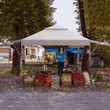 Rolling Pop-up Gazebo 3x3m Adjustable Dual Awnings And Height