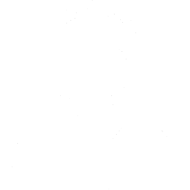 Phone Support