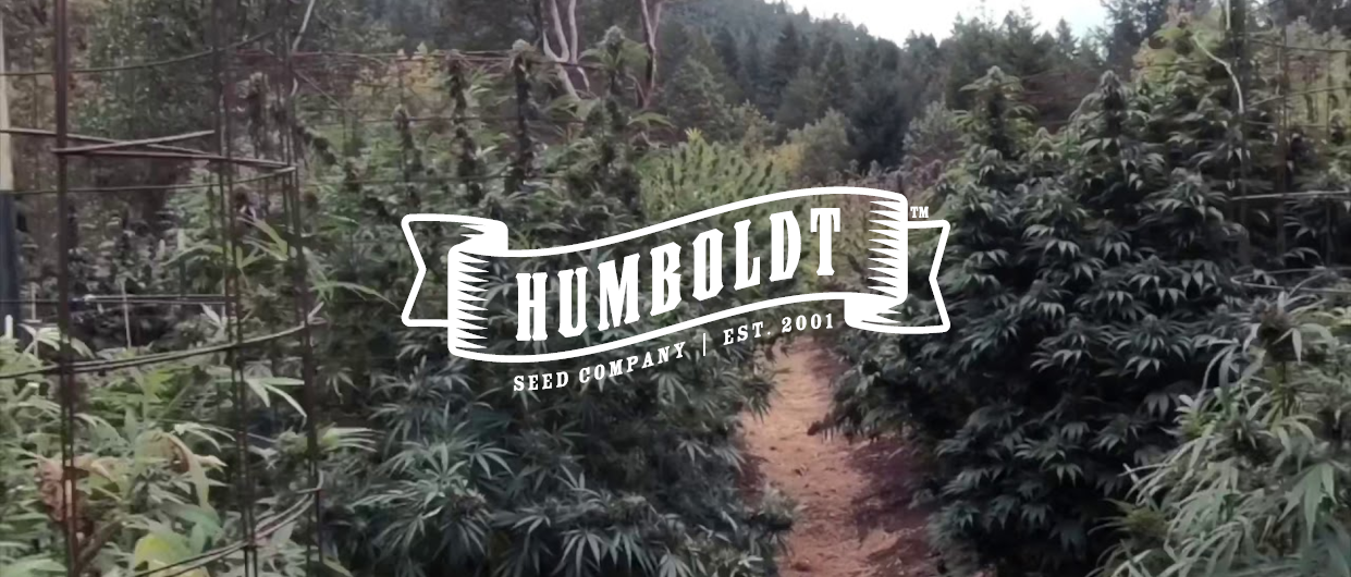 humboldtseedcompanycasestudyheader.png