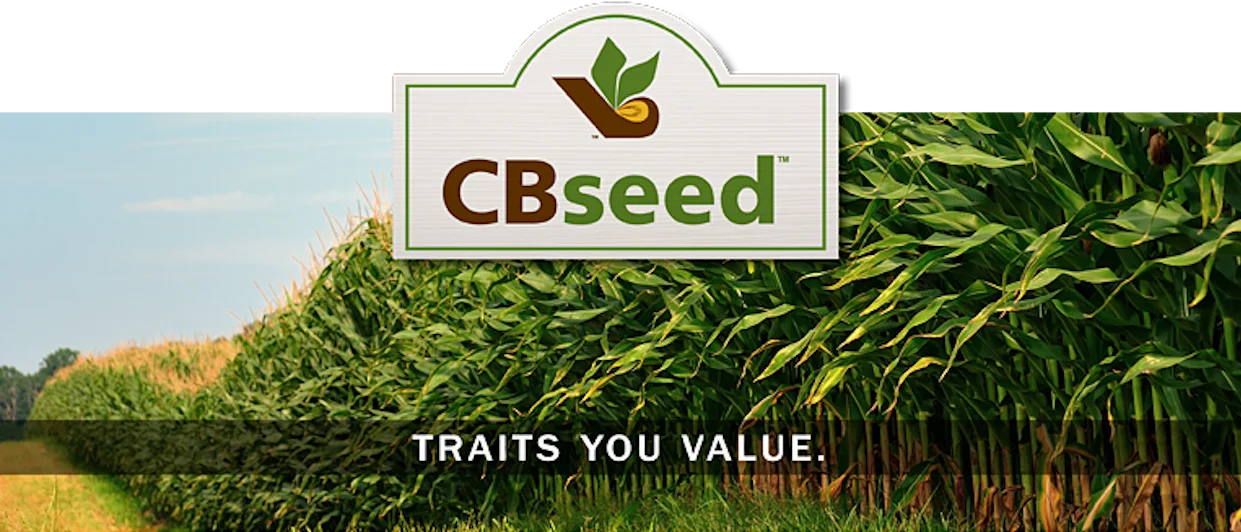 Brown Seed Genetics &mdash; the CBseed &lsquo;Traits You Value&rsquo; banner over a standing corn field