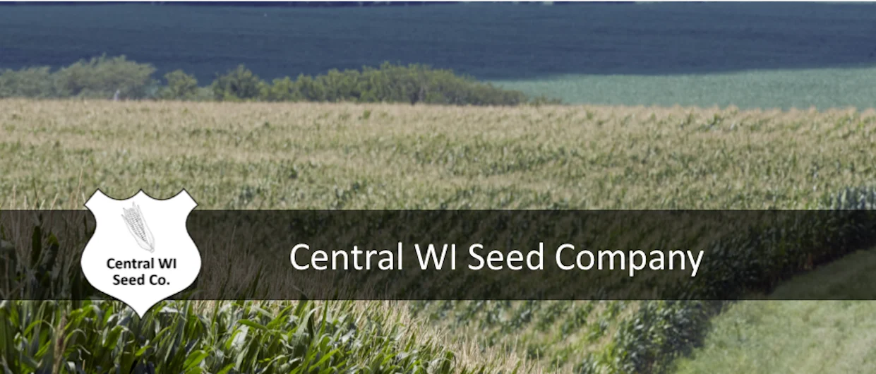 Central WI Seed Company &mdash; a seed corn field running down to open water