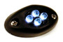 Courtesy LED Light POD with Black Case - White 