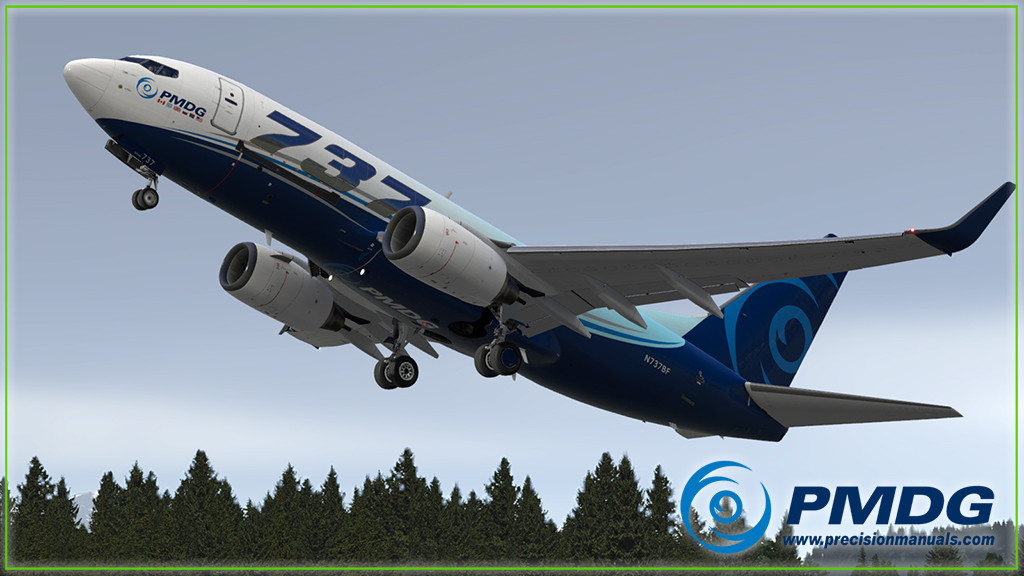 PMDG 737-600 for Microsoft Flight Simulator - PMDG Simulations LLC