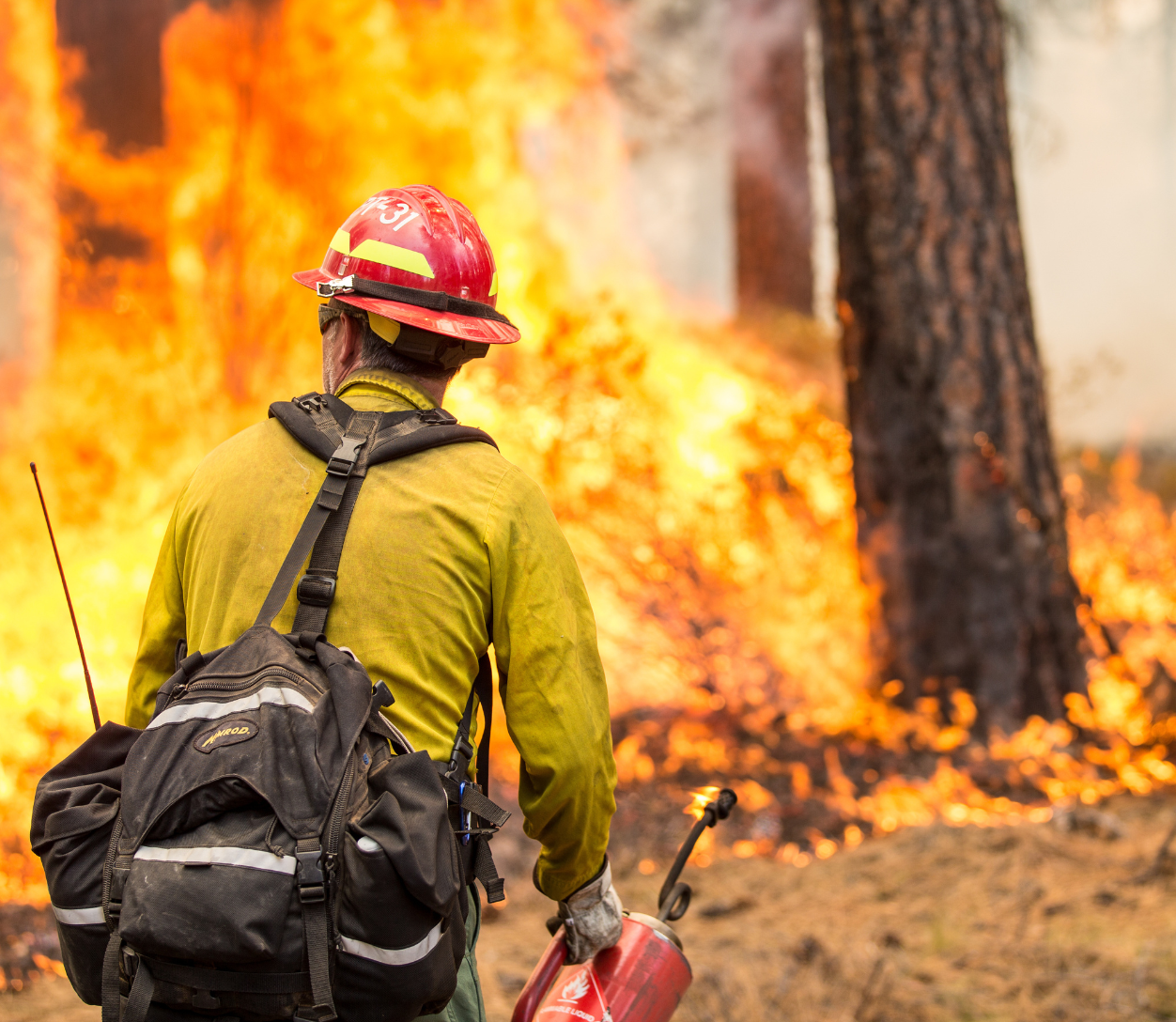ADVNTR tactical professionals performing field operations
