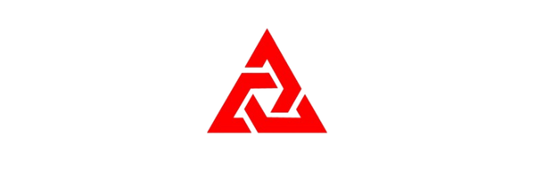 Danger Solutions logo
