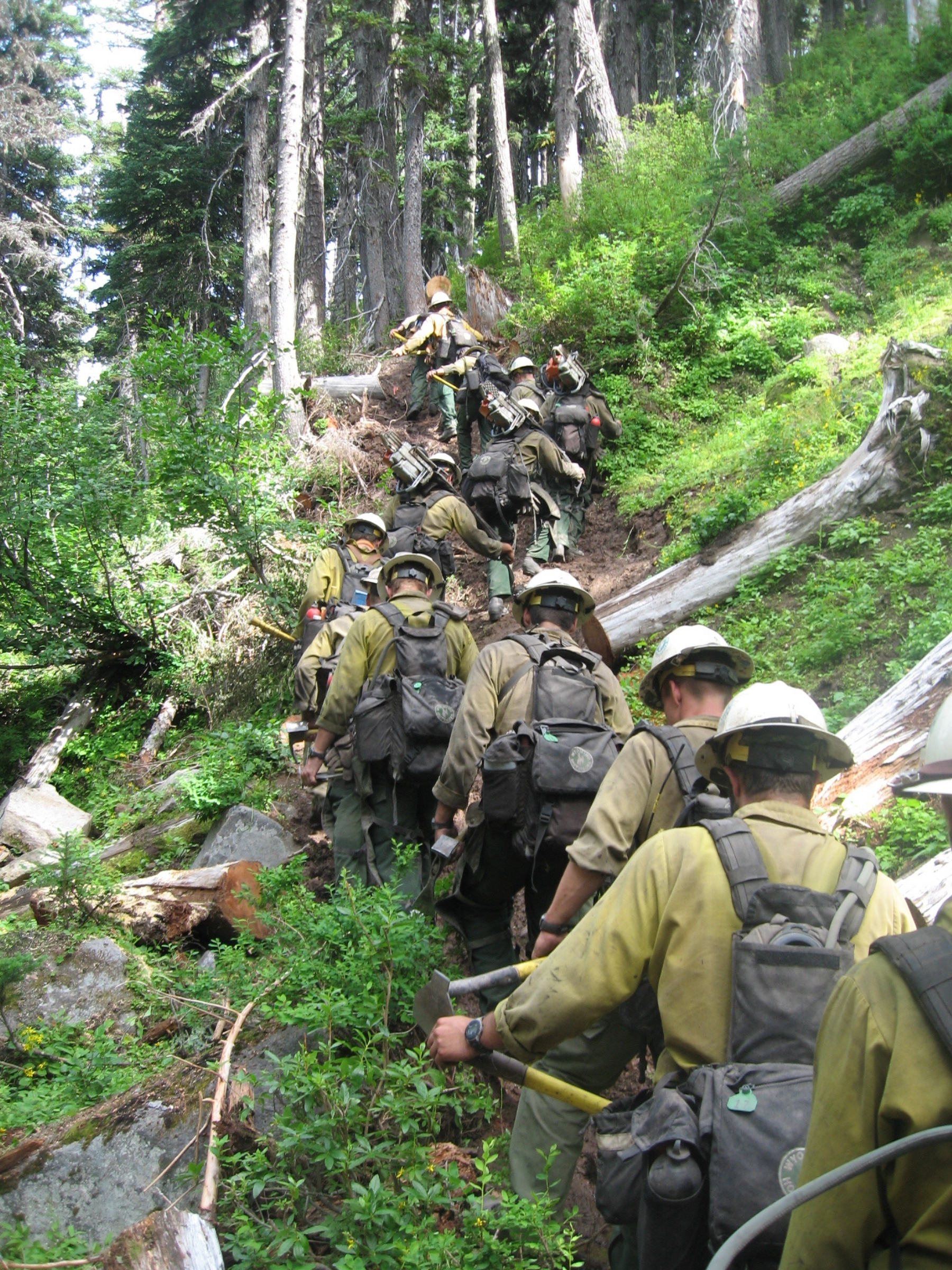 Field professionals working with rugged mobile equipment