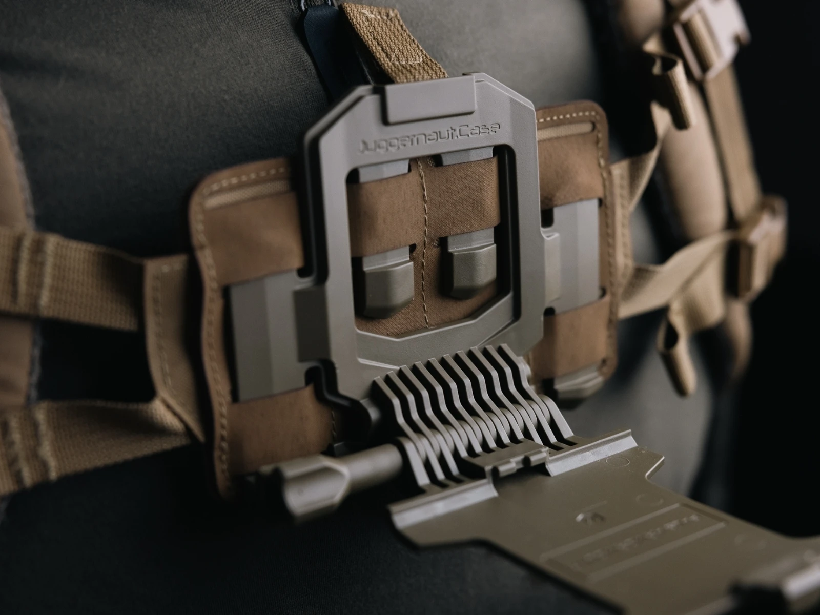 Juggernaut Case PALS Stern mounting detail