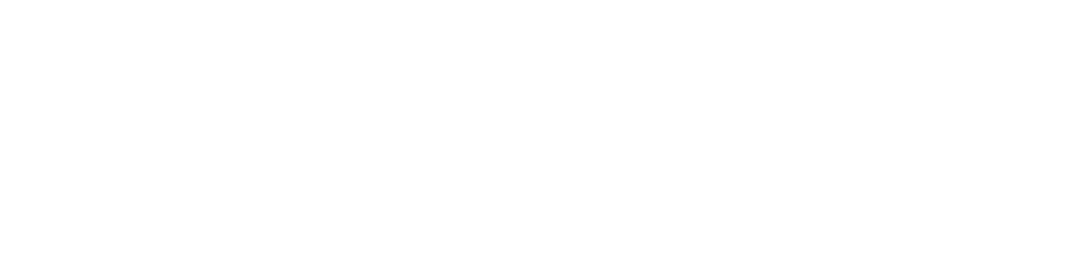 VELOX