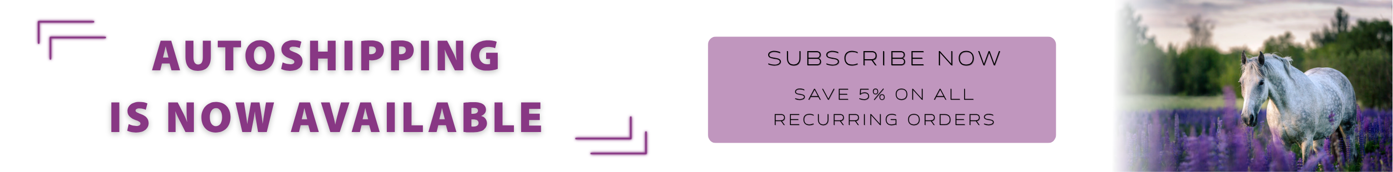 autshipping-is-now-available.png