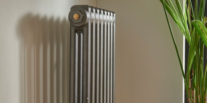 Paladin Elizabethan SL01