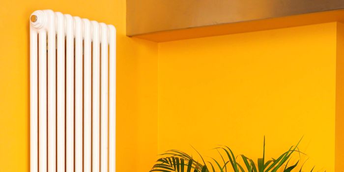 Apollo Roma 3 Column Radiators Image