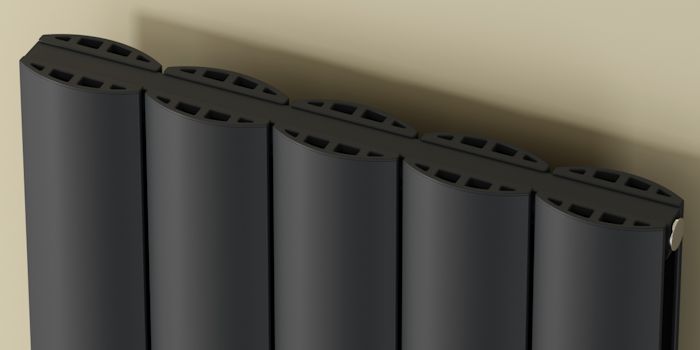 Reina Image