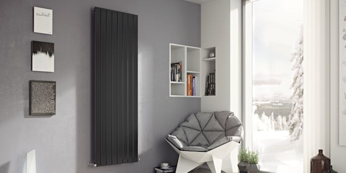 Mars Vertical Anthracite Radiators Image