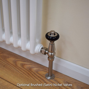 TE2-W-CU01 - Infinity White 2 Column Radiator 22 Sections H2200mm X W1036mm